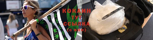 тгк Алексин