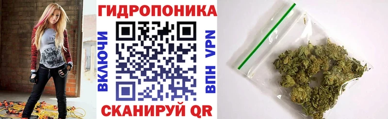 Конопля гибрид  дарнет шоп  Чайковский 